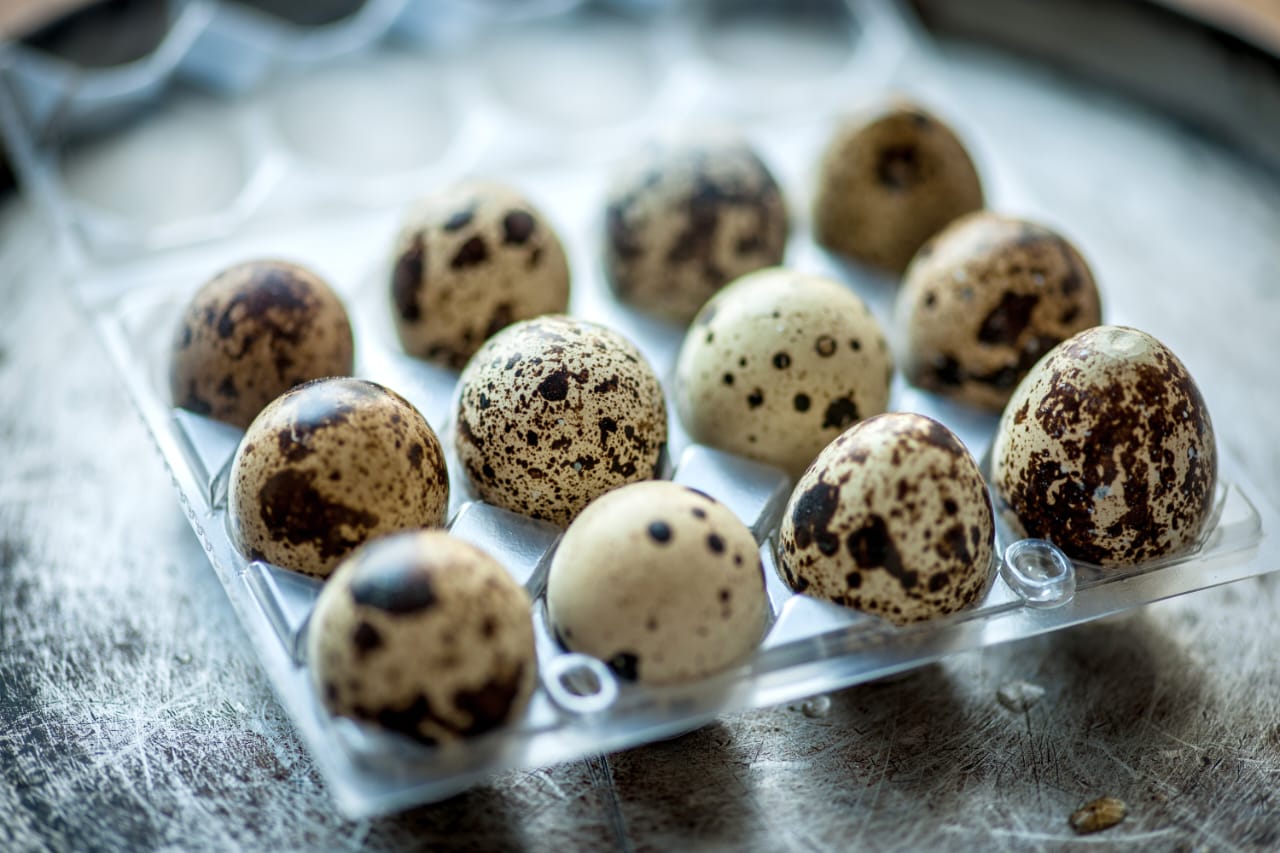 QUAILS EGG